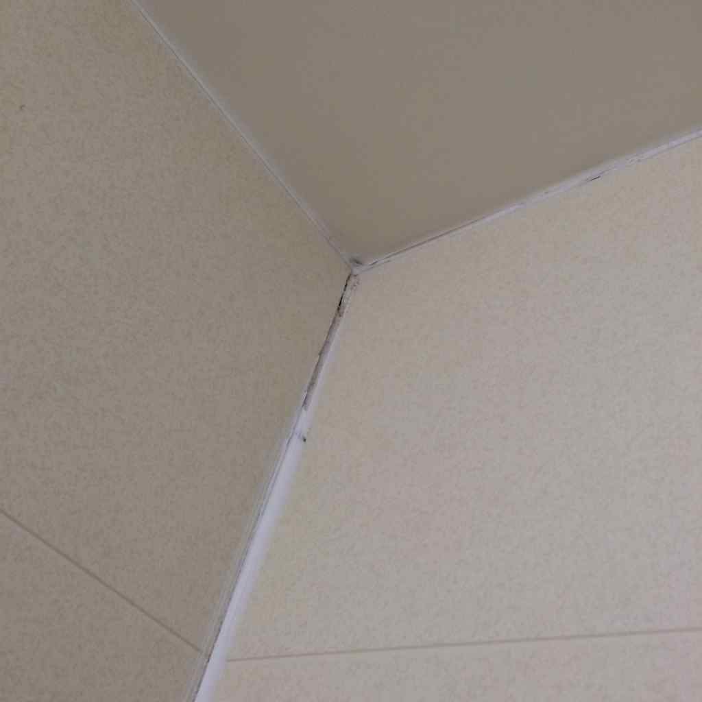カビ臭い部屋から床下までカビ除去や防カビ工事に等による様々なカビ対策で 再発防止する防カビ工事。結露が酷い部屋でカビが発生した壁天井も 防露防カビ工事でカビ発生を防止しています。